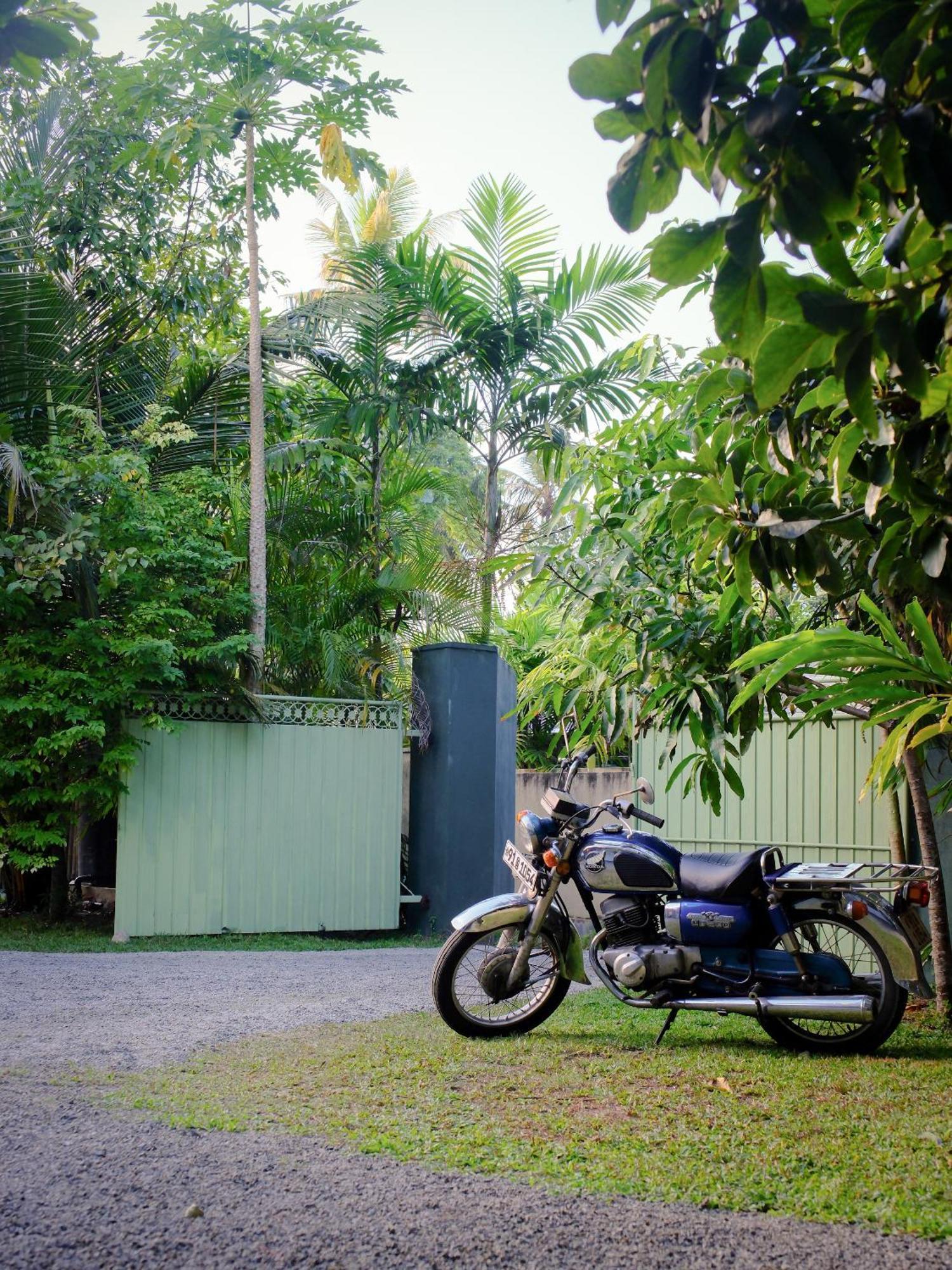 ホテル Makai Surf House アハンガマ エクステリア 写真